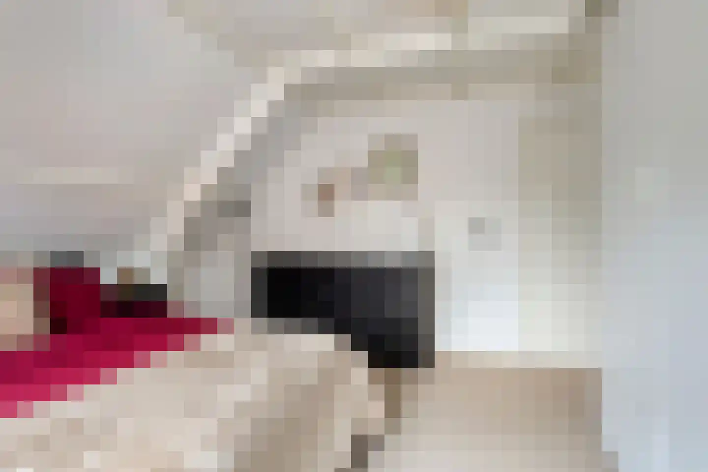Andries Veenstrastraat 19 Wolvega thumbnail 13