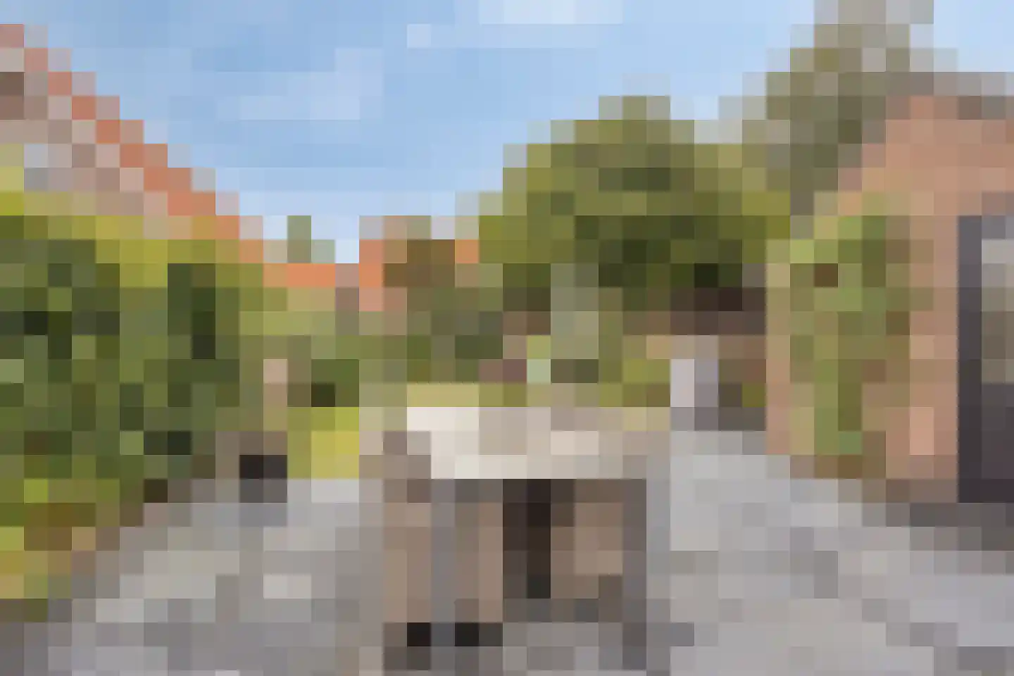 Andries Veenstrastraat 19 Wolvega thumbnail 21
