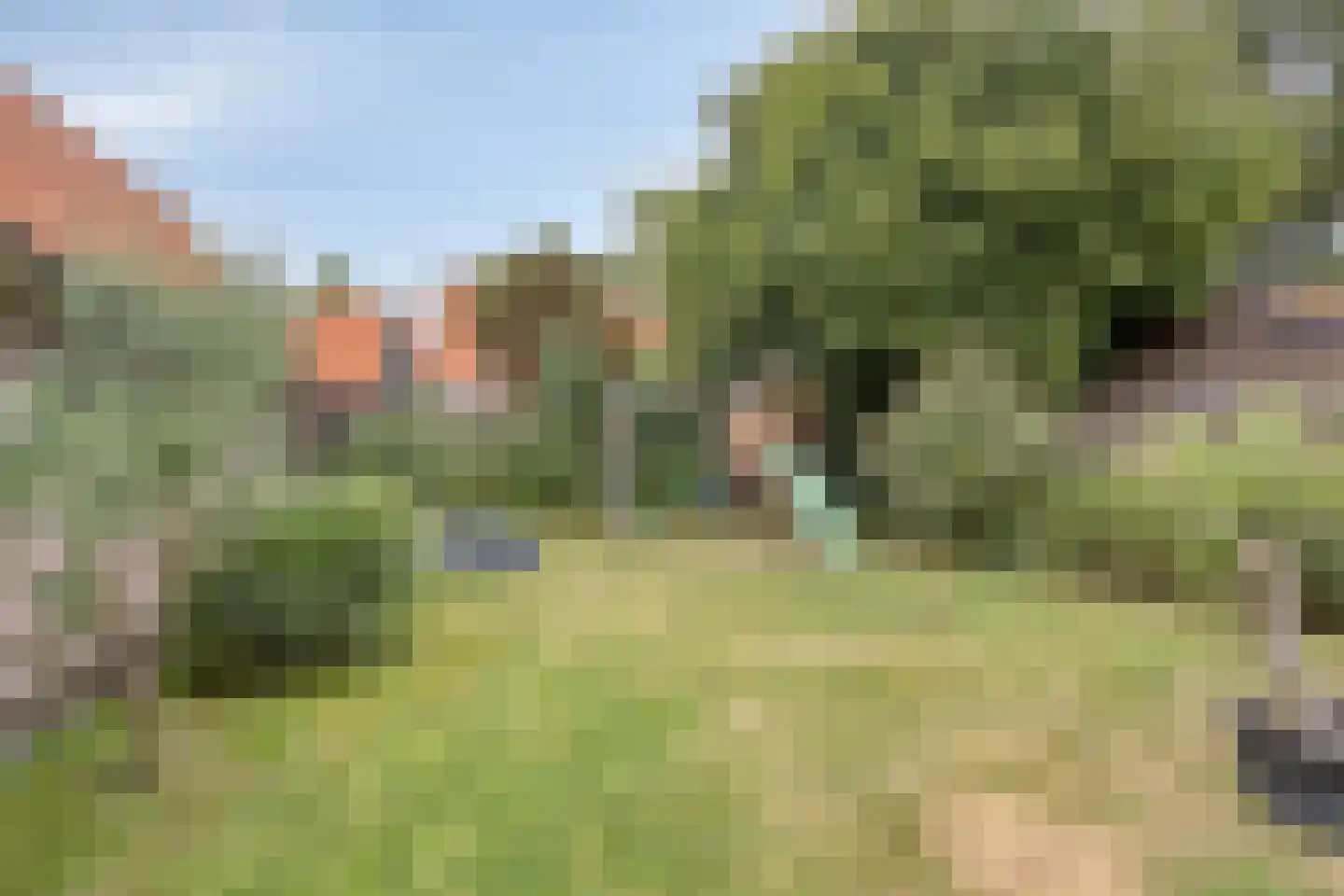 Andries Veenstrastraat 19 Wolvega thumbnail 22