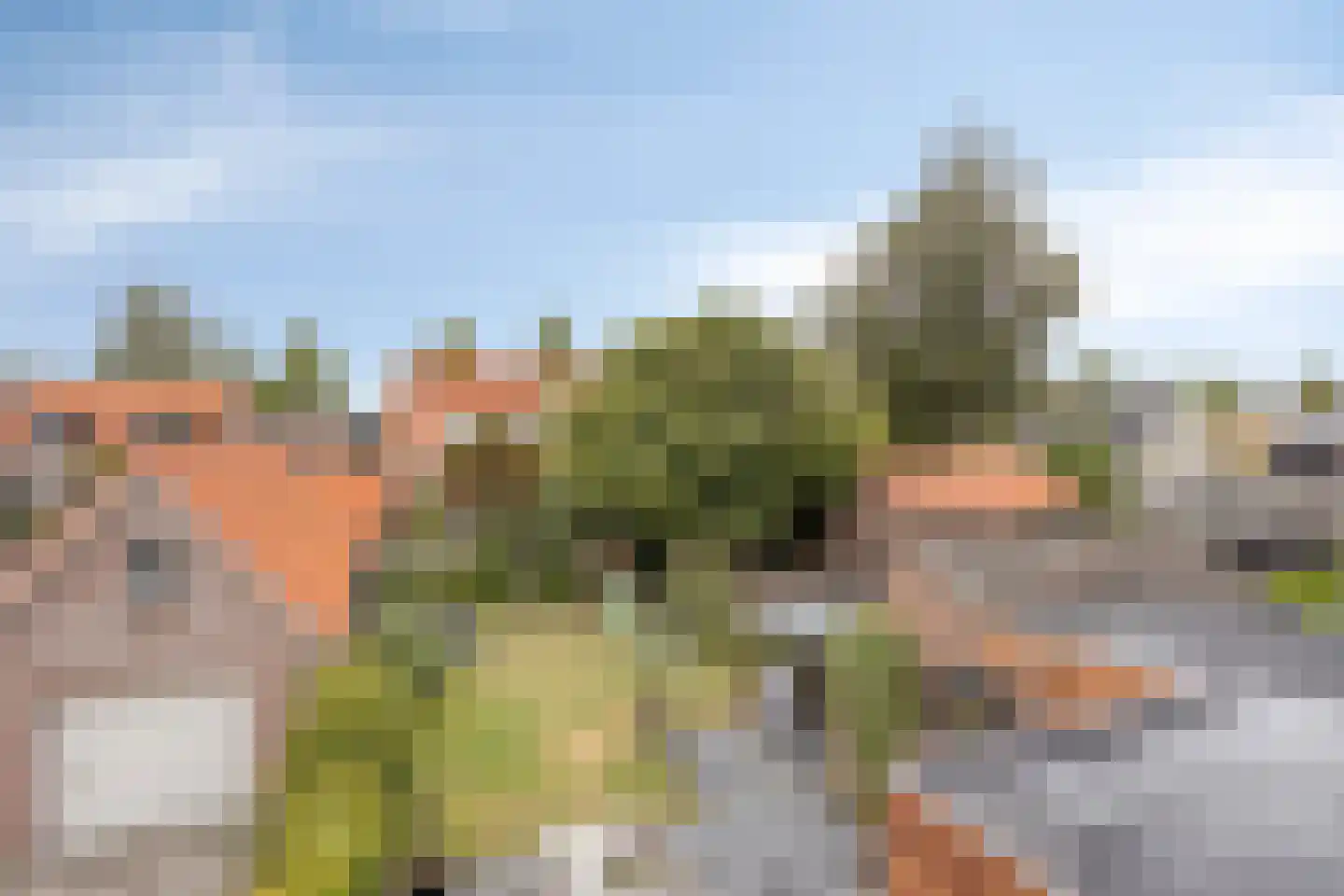Andries Veenstrastraat 19 Wolvega thumbnail 26