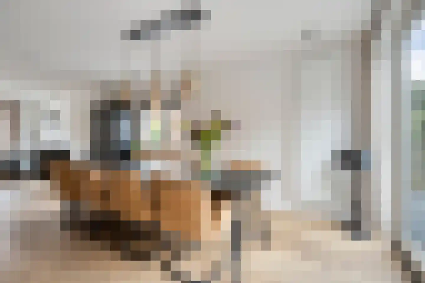 Andries Veenstrastraat 19 Wolvega thumbnail 4