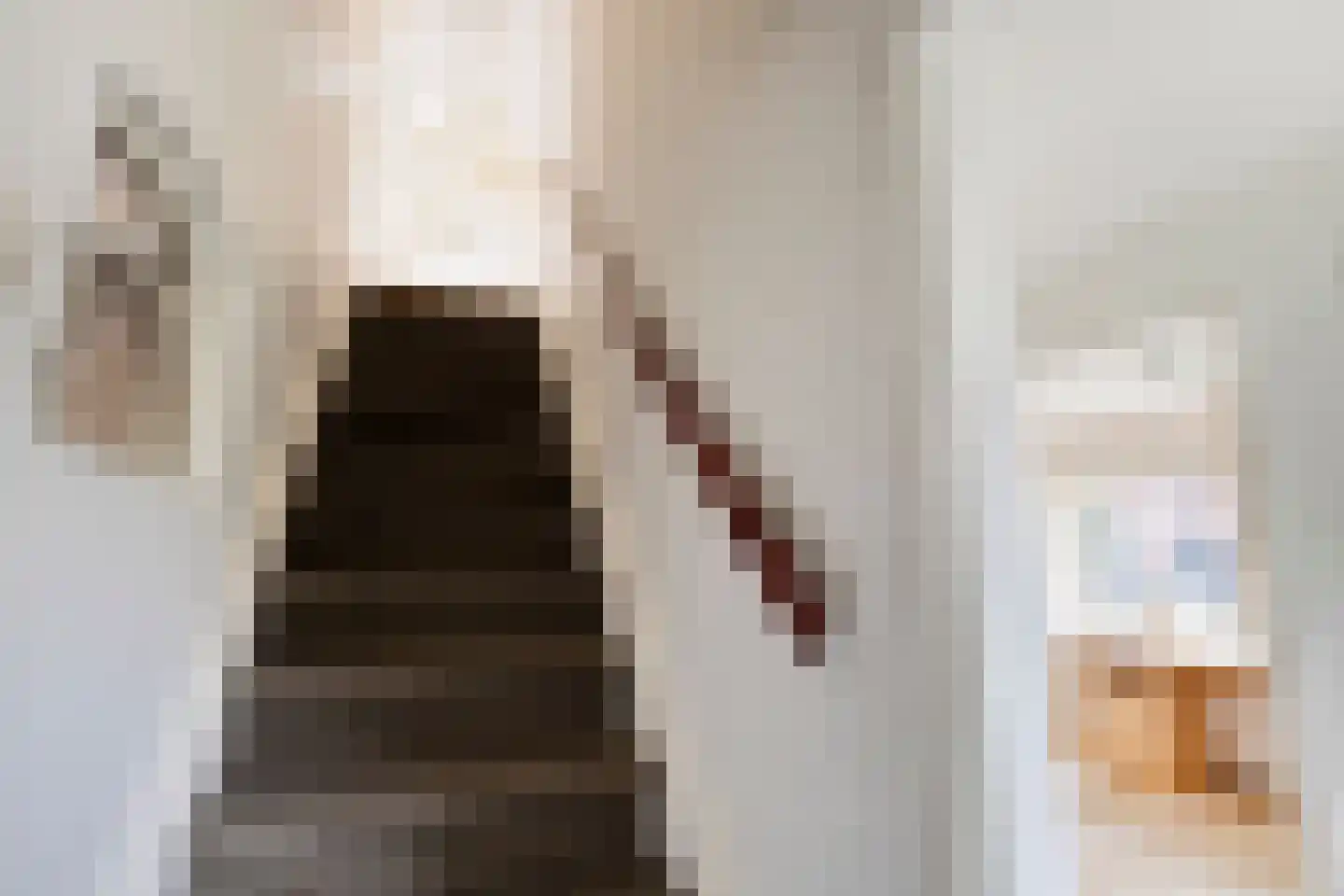 Andries Veenstrastraat 2 Wolvega thumbnail 15