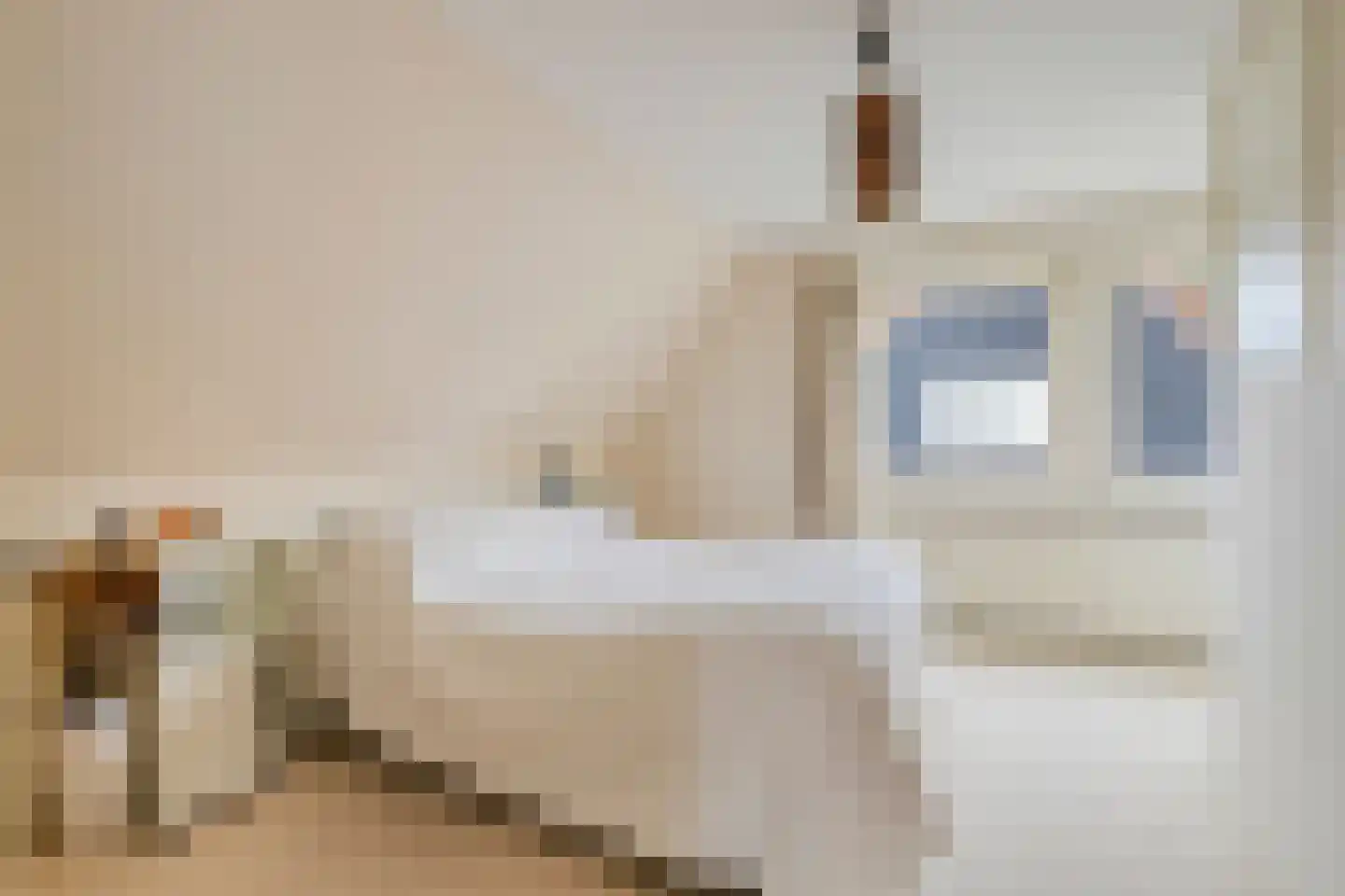 Andries Veenstrastraat 2 Wolvega thumbnail 16