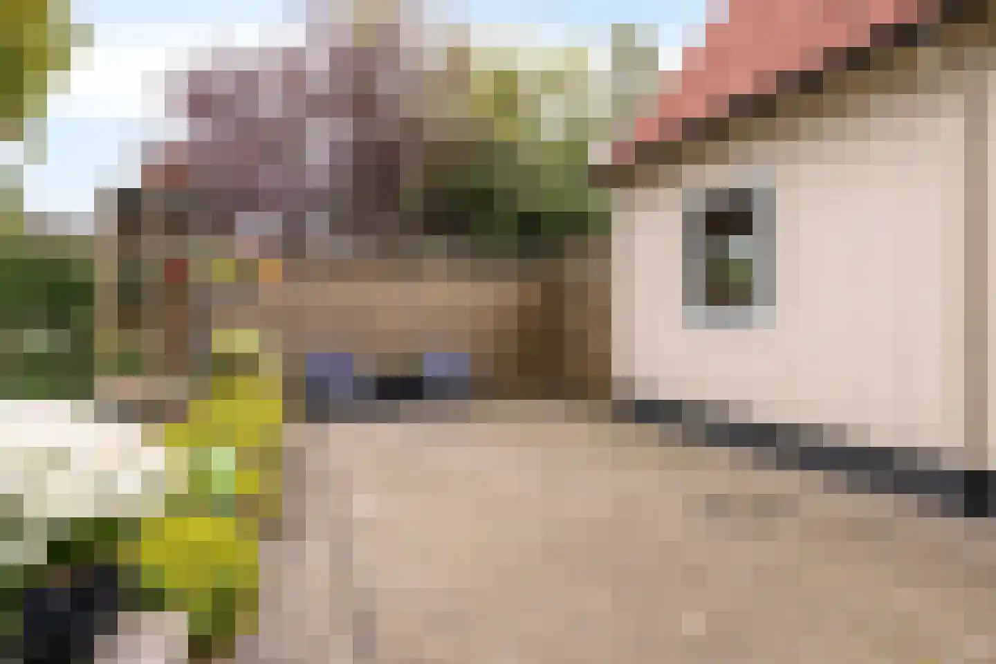 Andries Veenstrastraat 2 Wolvega thumbnail 34