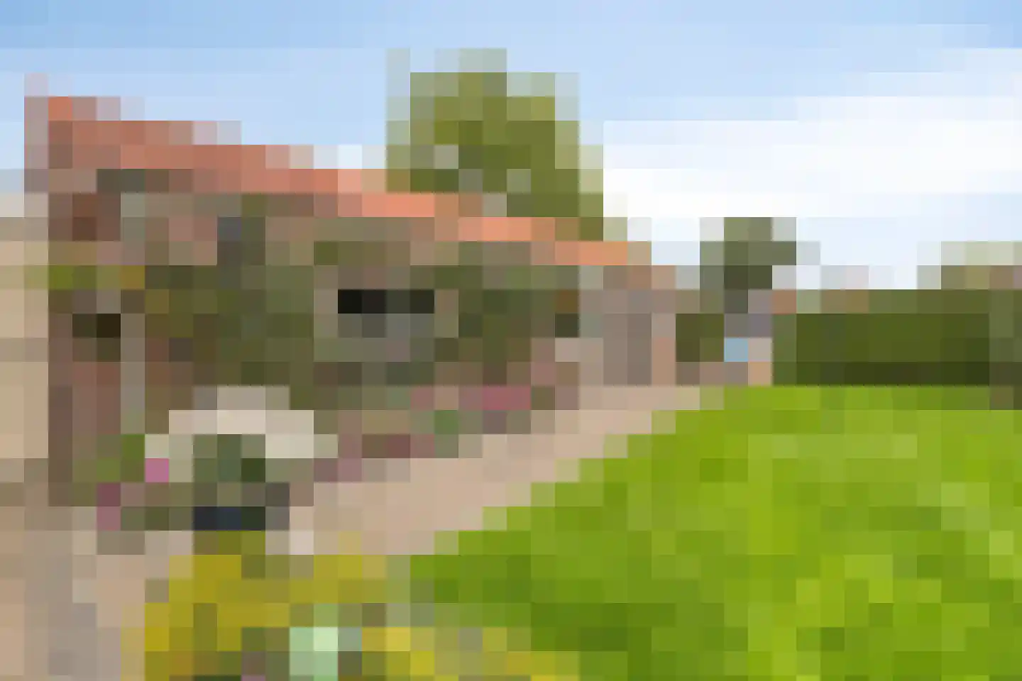 Andries Veenstrastraat 2 Wolvega thumbnail 36
