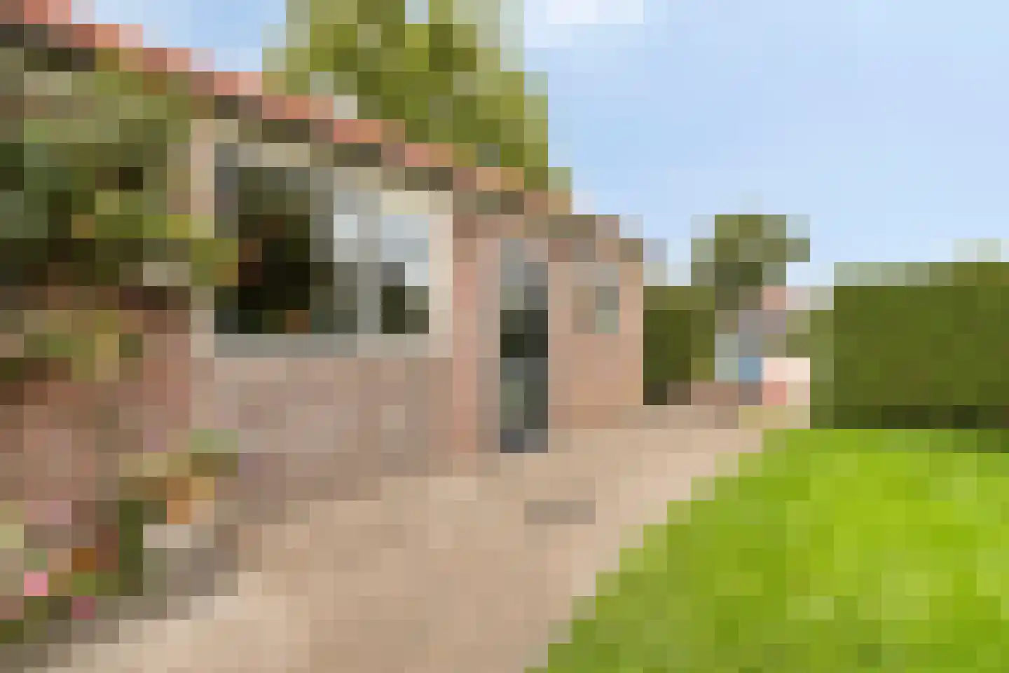 Andries Veenstrastraat 2 Wolvega thumbnail 37