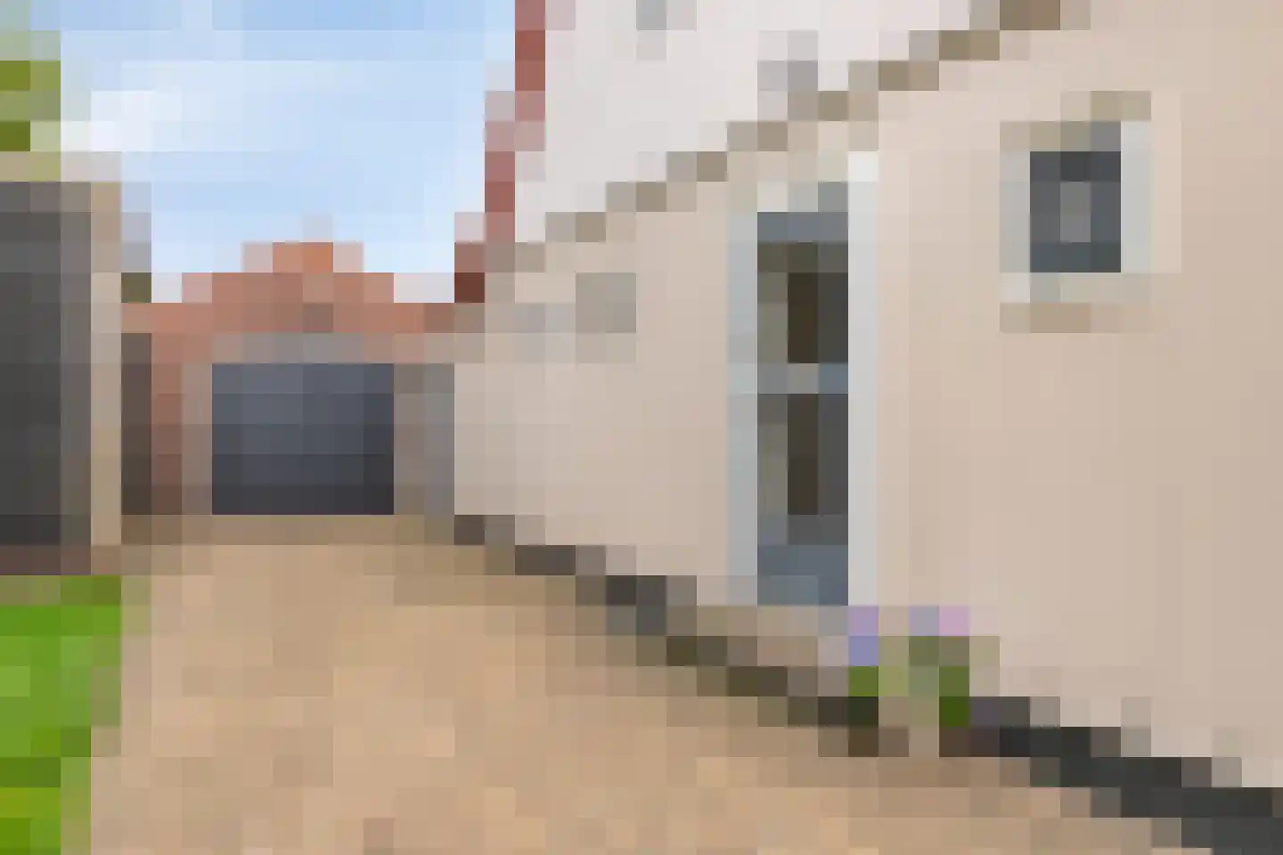 Andries Veenstrastraat 2 Wolvega thumbnail 38