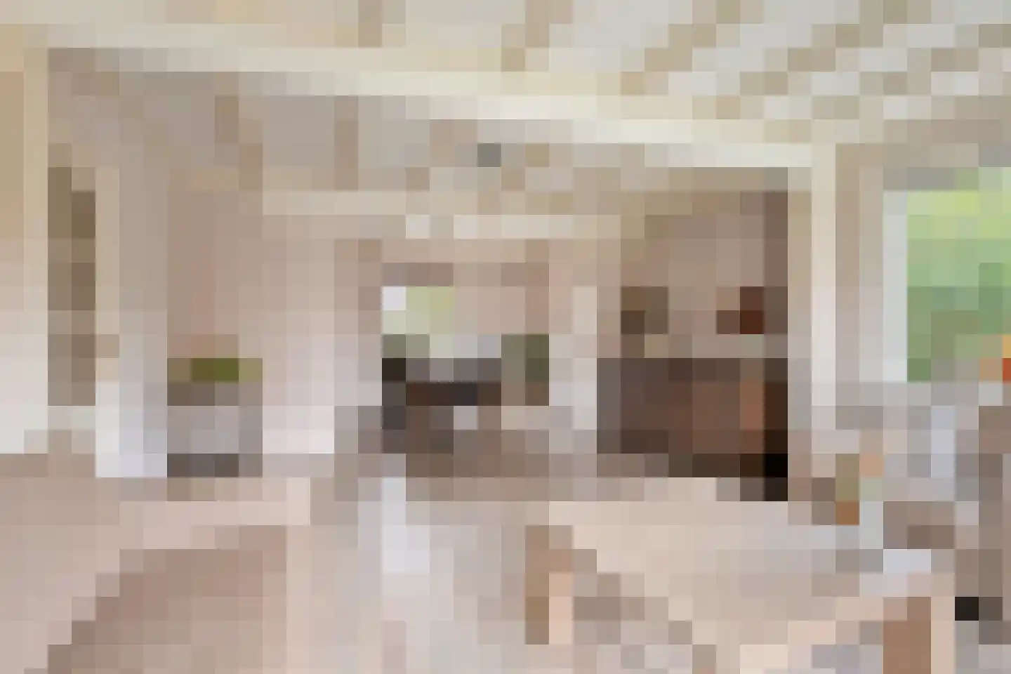 Andries Veenstrastraat 2 Wolvega thumbnail 4