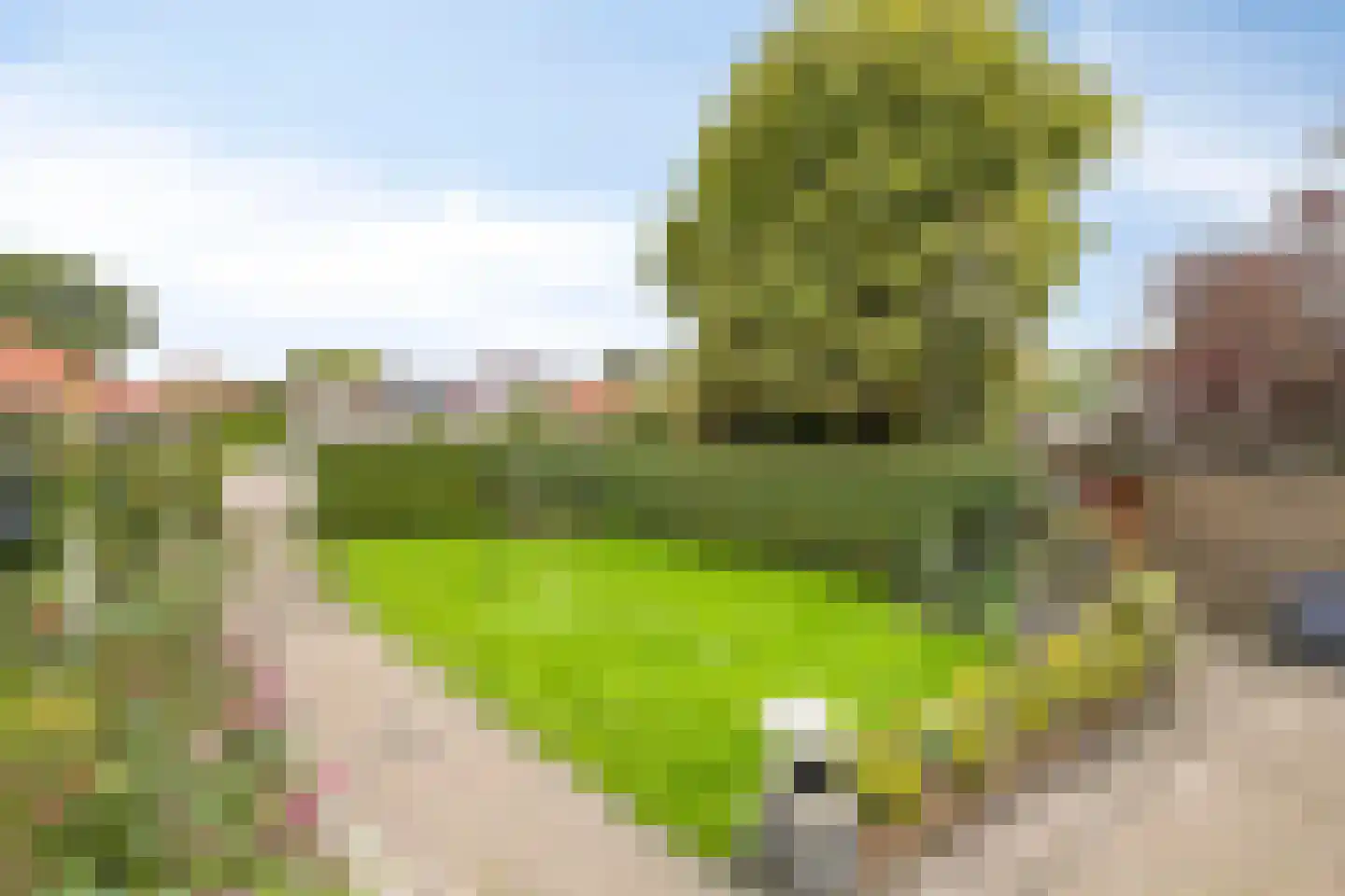 Andries Veenstrastraat 2 Wolvega thumbnail 44
