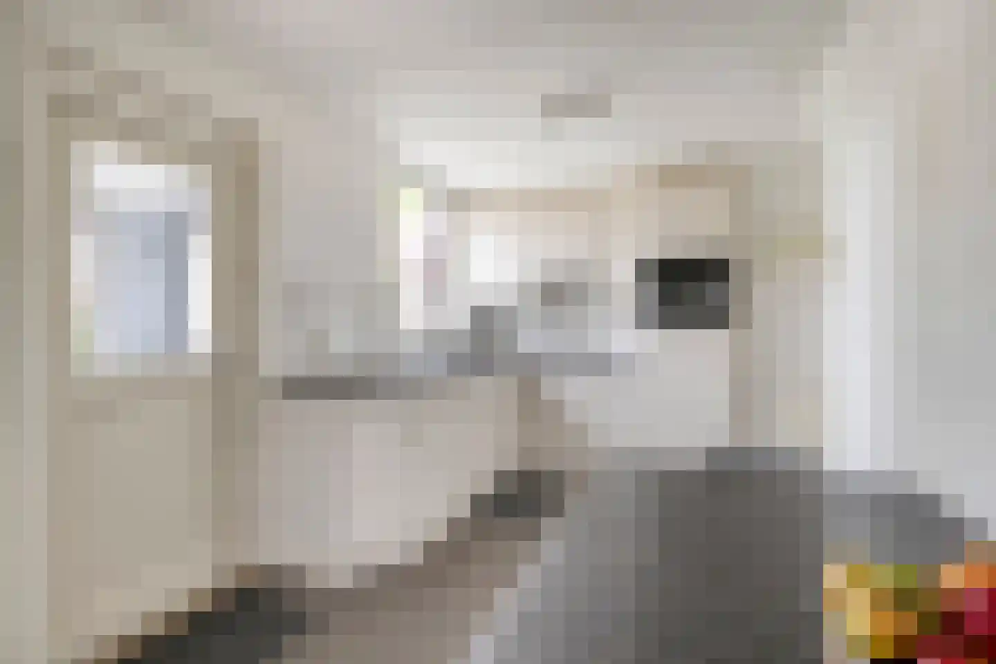 Andries Veenstrastraat 2 Wolvega thumbnail 7