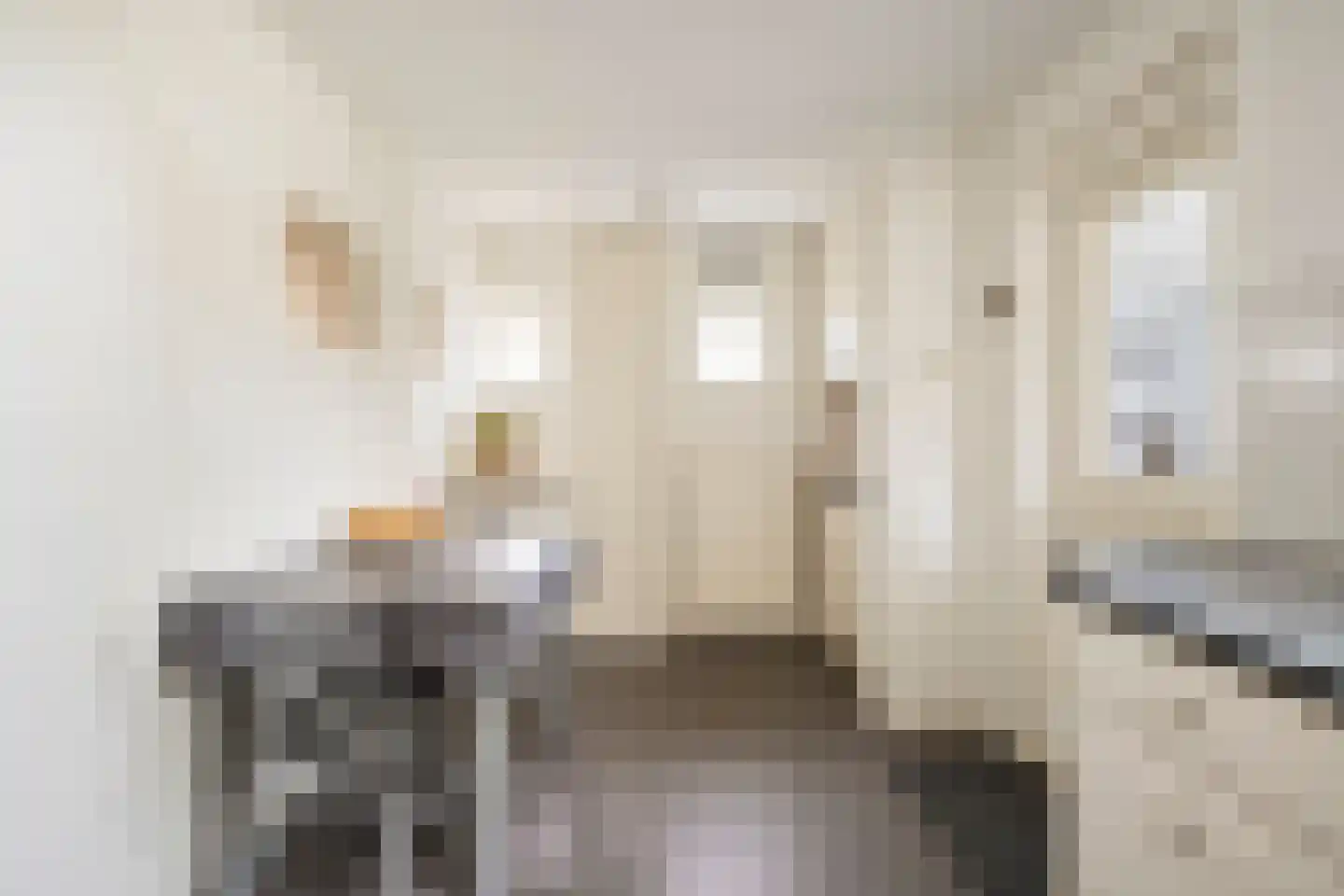 Andries Veenstrastraat 2 Wolvega thumbnail 8