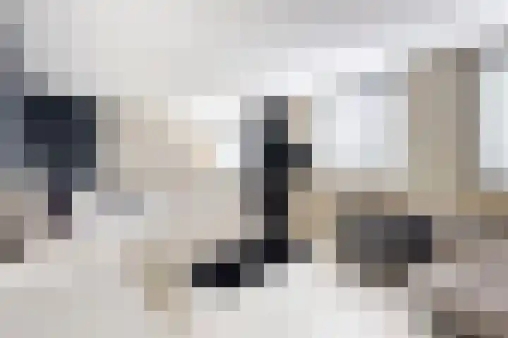 Andries Vierlinghlaan 13 Willemstad thumbnail 4