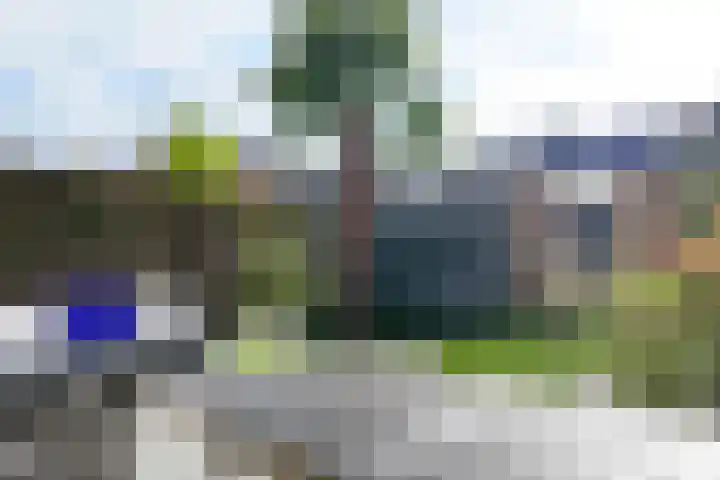 Andries Vierlinghlaan 13 Willemstad thumbnail 53