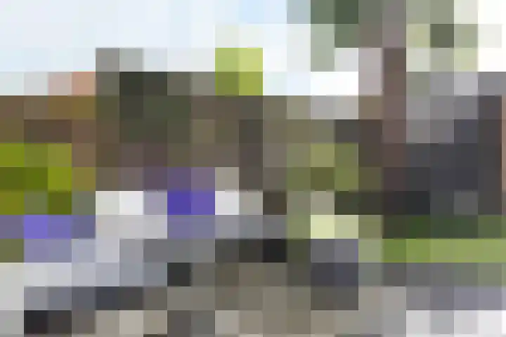 Andries Vierlinghlaan 13 Willemstad thumbnail 54