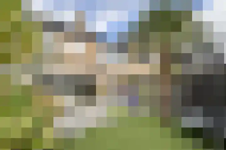 Andries Vierlinghlaan 13 Willemstad thumbnail 56