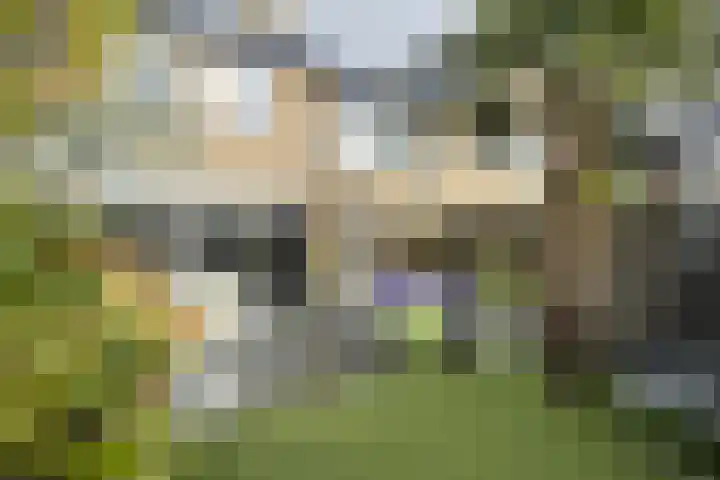 Andries Vierlinghlaan 13 Willemstad thumbnail 57