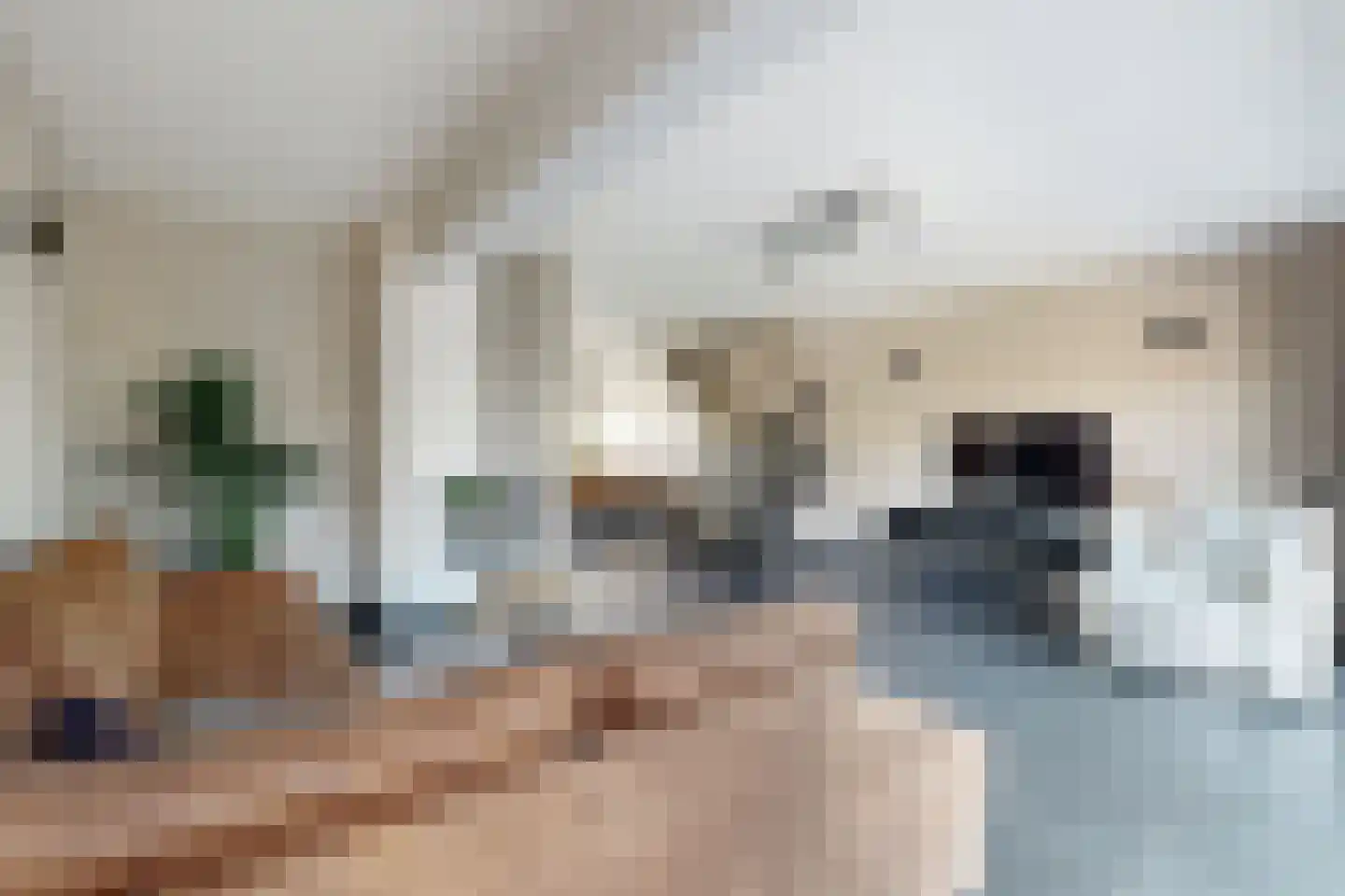 Andries Vierlinghlaan 3 Willemstad thumbnail 16
