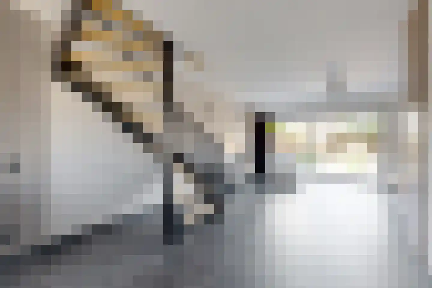 Andries Vierlinghlaan 3 Willemstad thumbnail 20