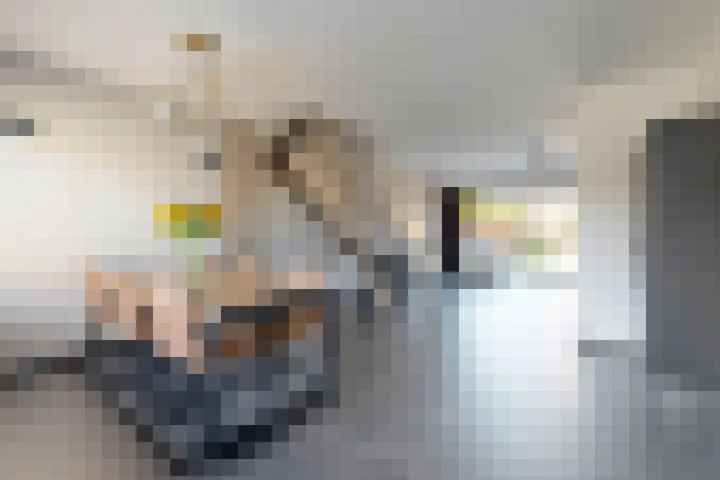 Andries Vierlinghlaan 3 Willemstad thumbnail 22