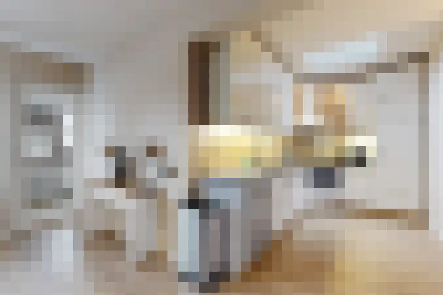 Andries Vierlinghlaan 5 Willemstad thumbnail 17