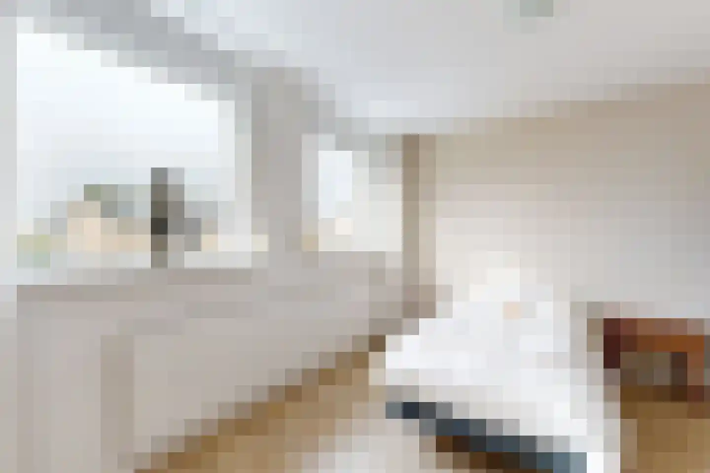 Andries Vierlinghlaan 5 Willemstad thumbnail 41