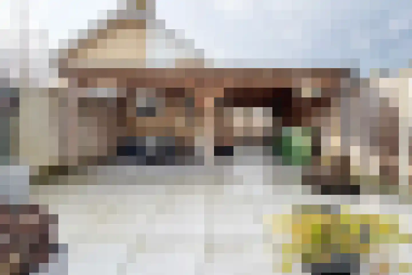 Andries Vierlinghlaan 5 Willemstad thumbnail 6