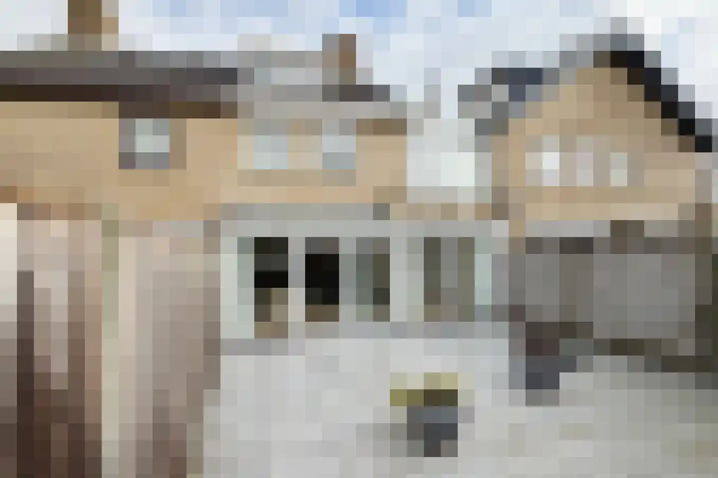 Andries Vierlinghlaan 5 Willemstad thumbnail 60