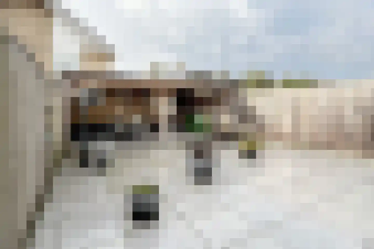 Andries Vierlinghlaan 5 Willemstad thumbnail 63
