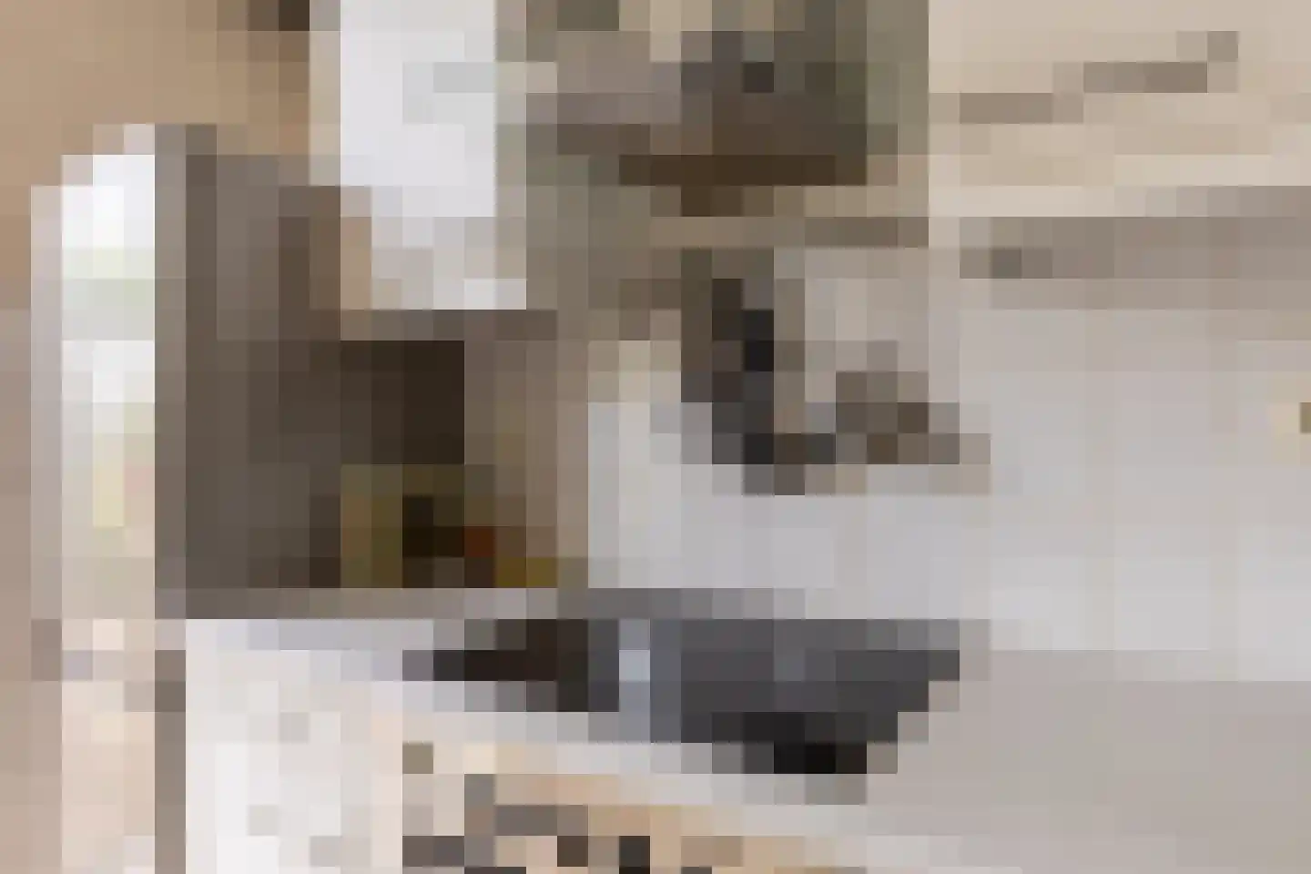 Andries Wouterszhof 20 Heinenoord thumbnail 18