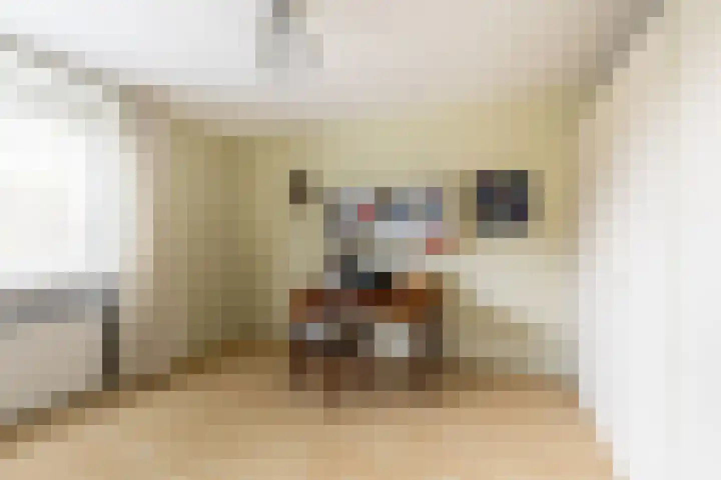 Andries Wouterszhof 20 Heinenoord thumbnail 21