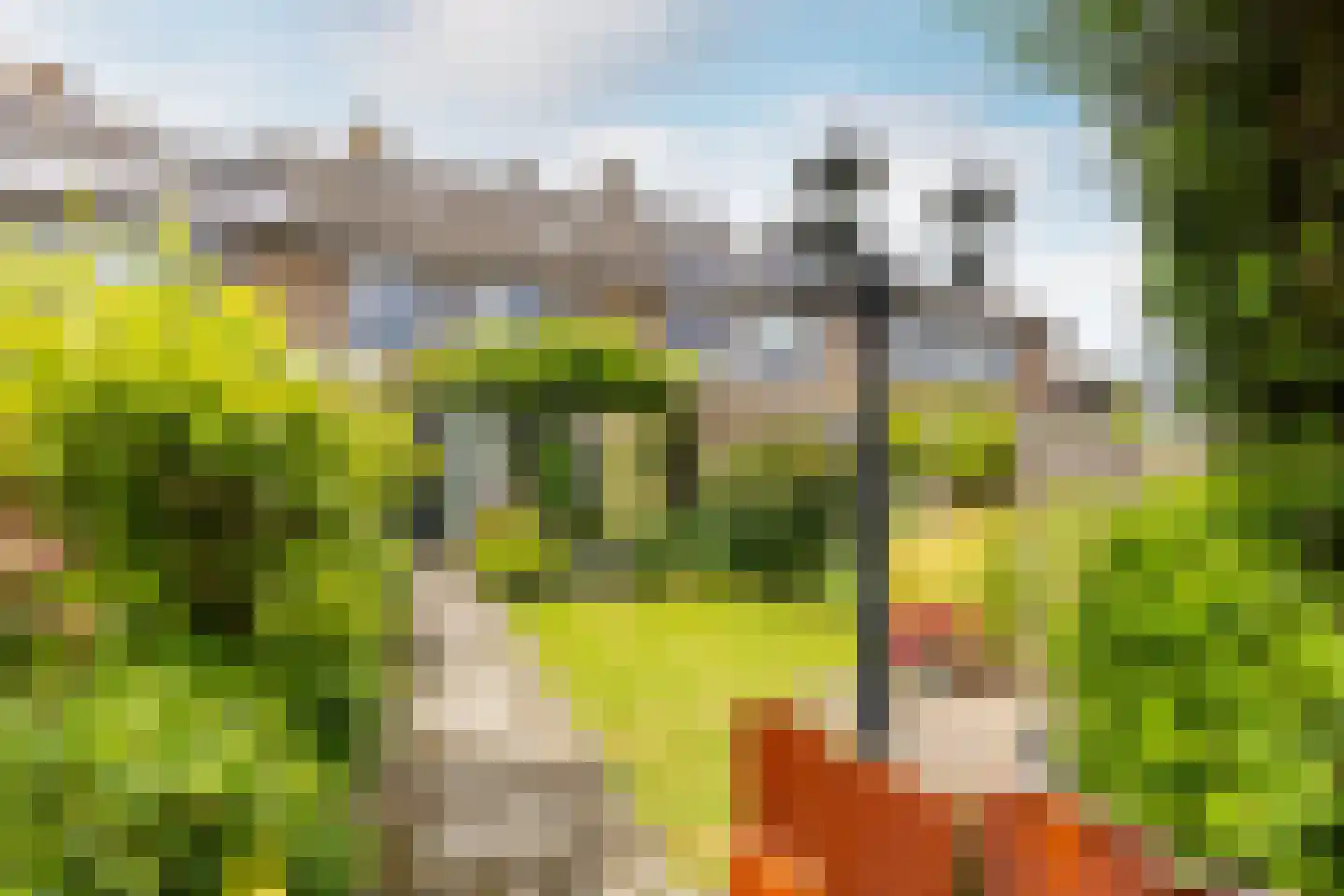 Andries Wouterszhof 20 Heinenoord thumbnail 28
