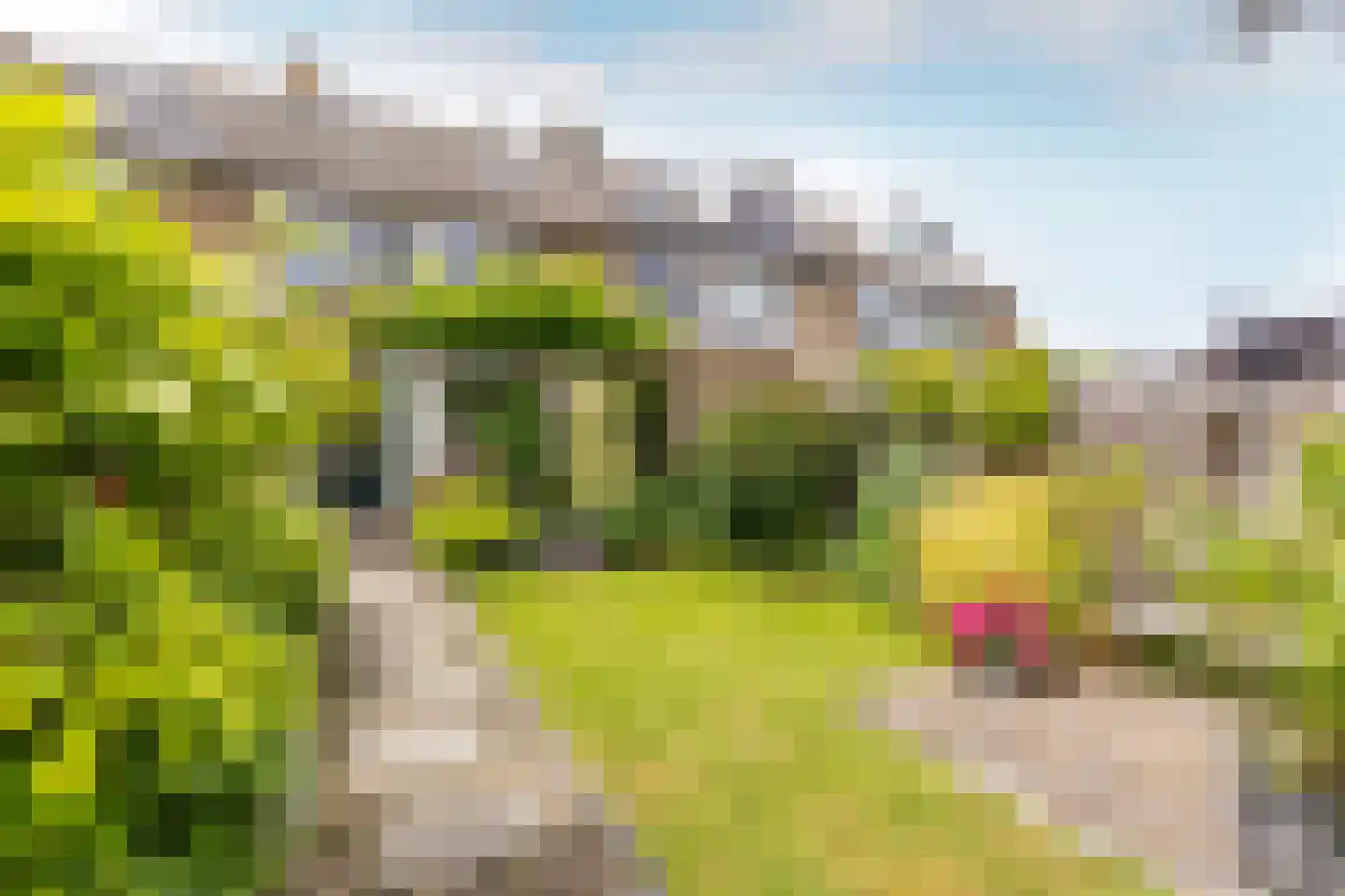 Andries Wouterszhof 20 Heinenoord thumbnail 30