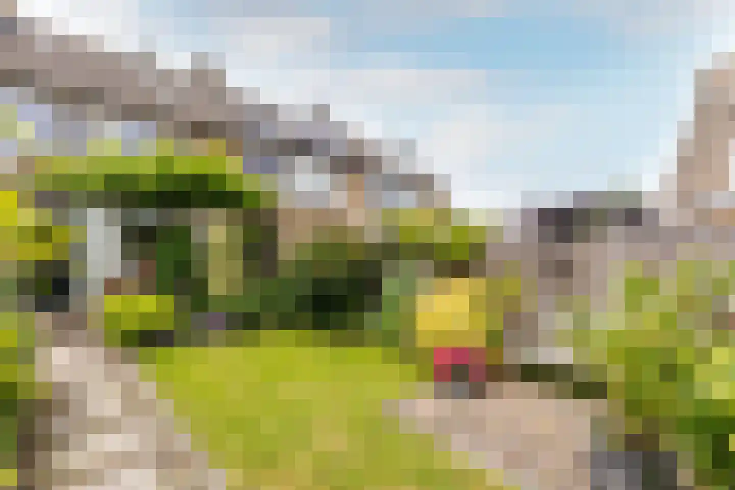 Andries Wouterszhof 20 Heinenoord thumbnail 31