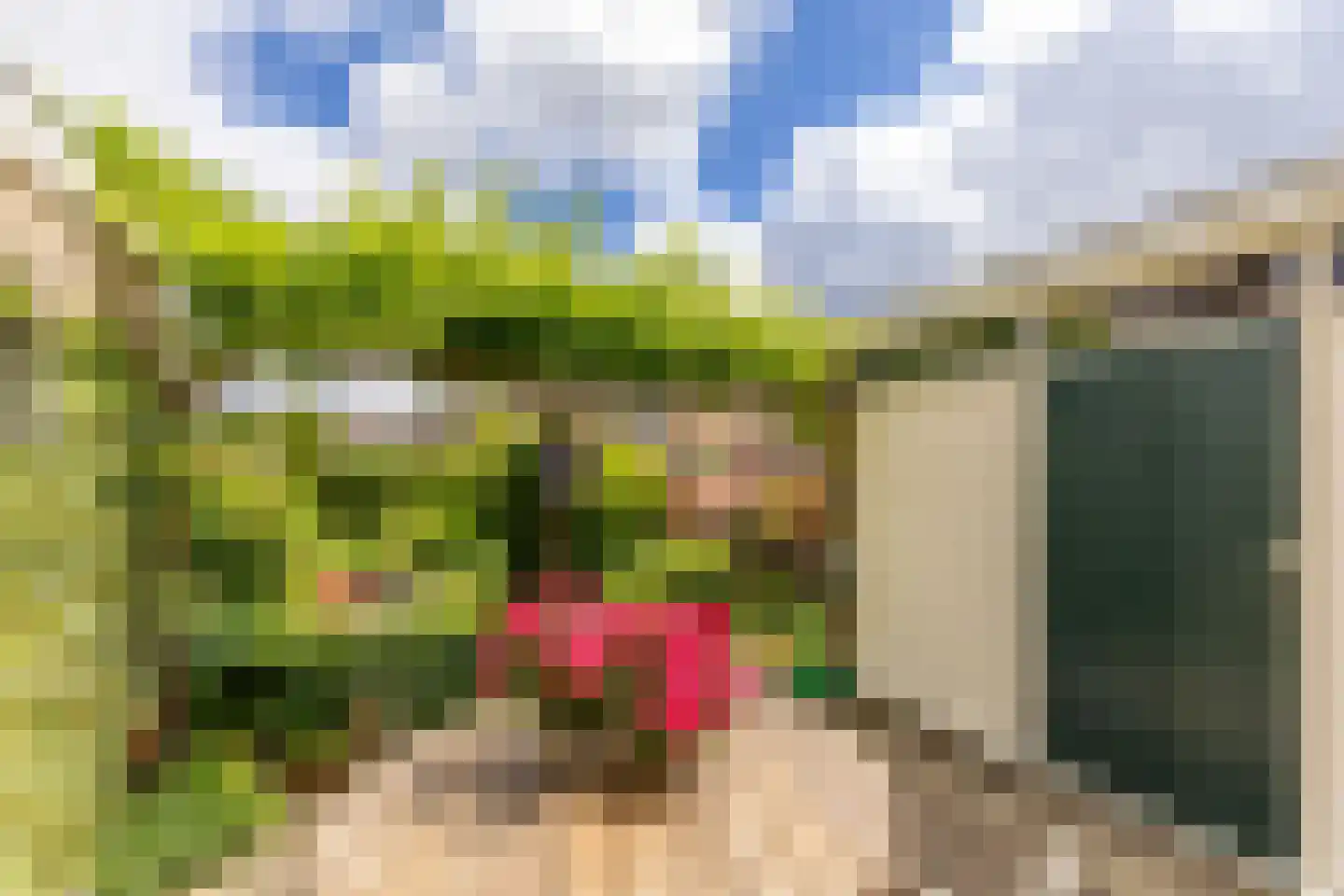 Andries Wouterszhof 20 Heinenoord thumbnail 32