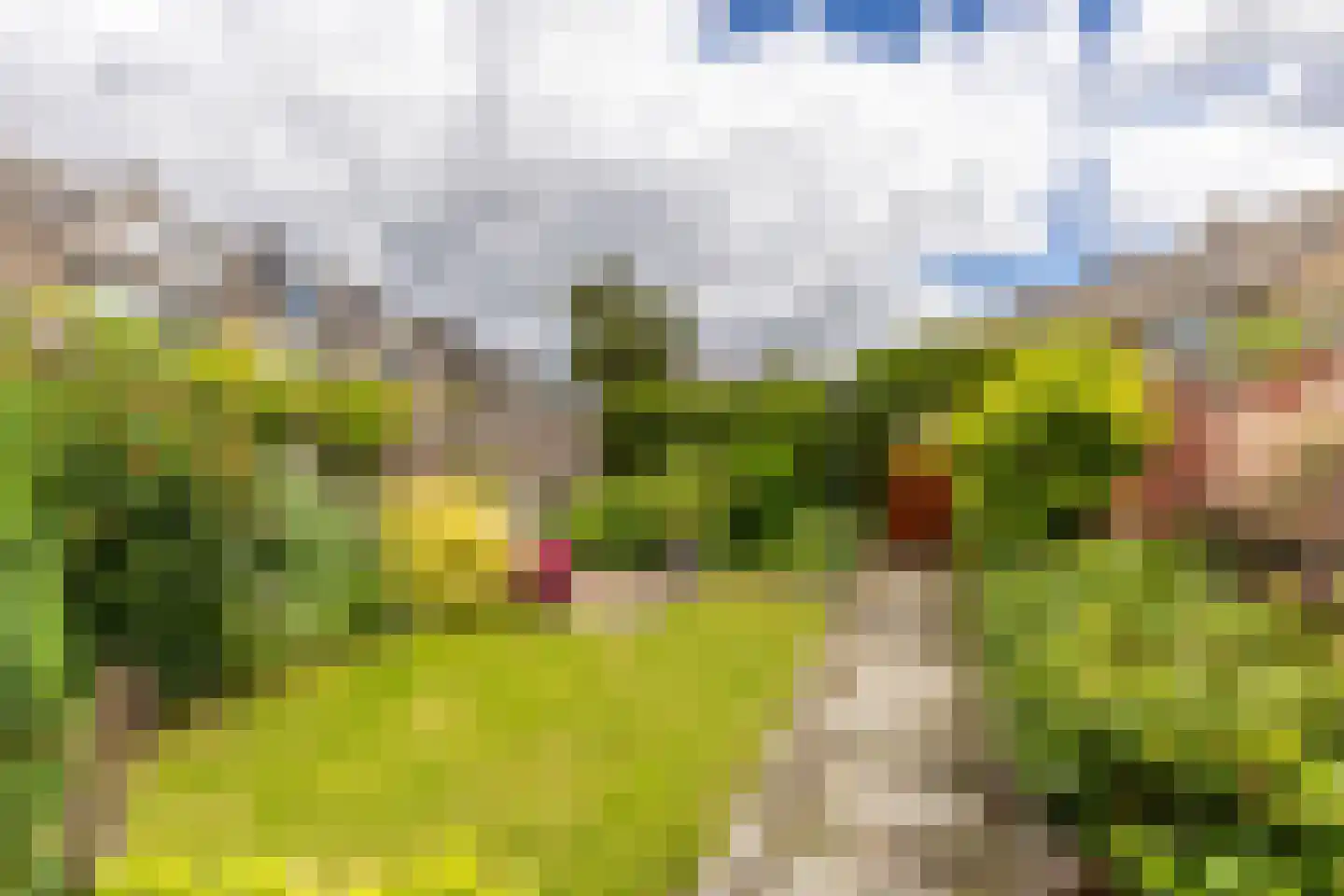 Andries Wouterszhof 20 Heinenoord thumbnail 36