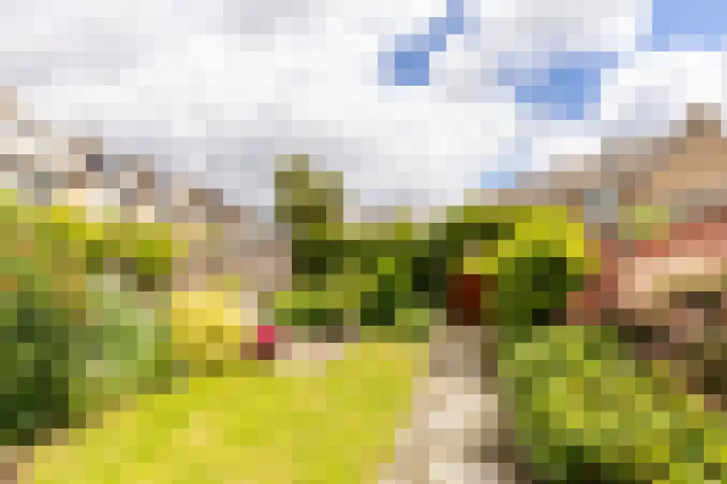 Andries Wouterszhof 20 Heinenoord thumbnail 38