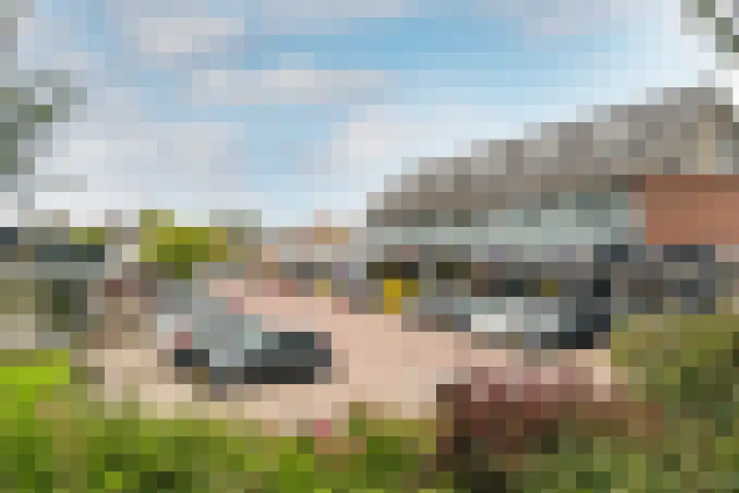 Andries Wouterszhof 20 Heinenoord thumbnail 40