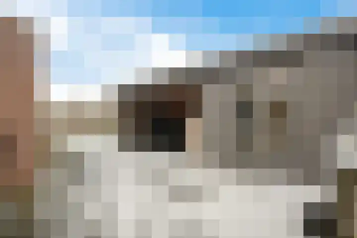 Andrieserf 16 Schoonebeek thumbnail 11