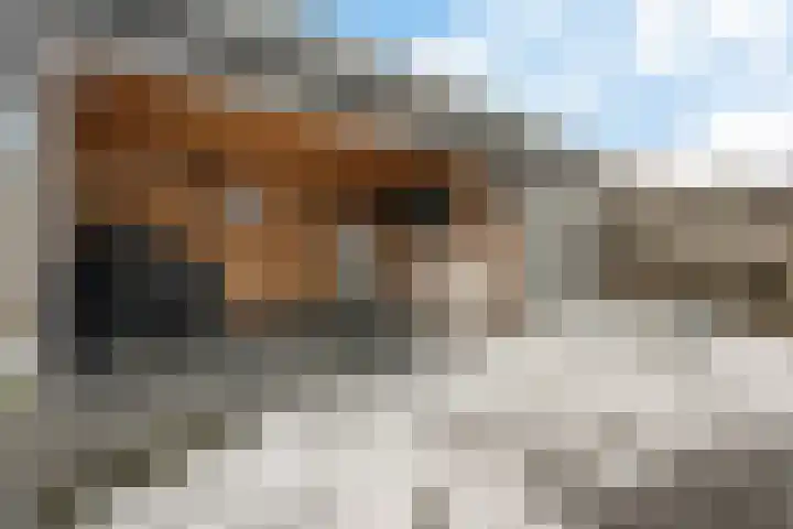 Andrieserf 16 Schoonebeek thumbnail 12