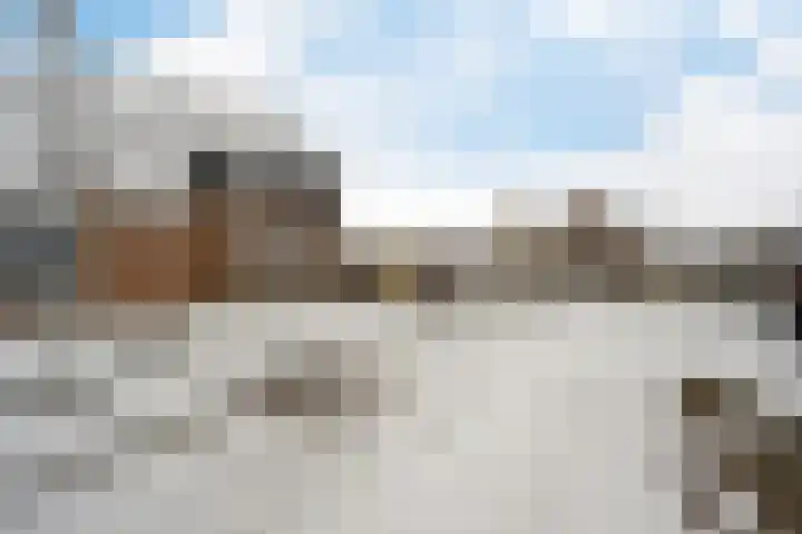 Andrieserf 16 Schoonebeek thumbnail 13