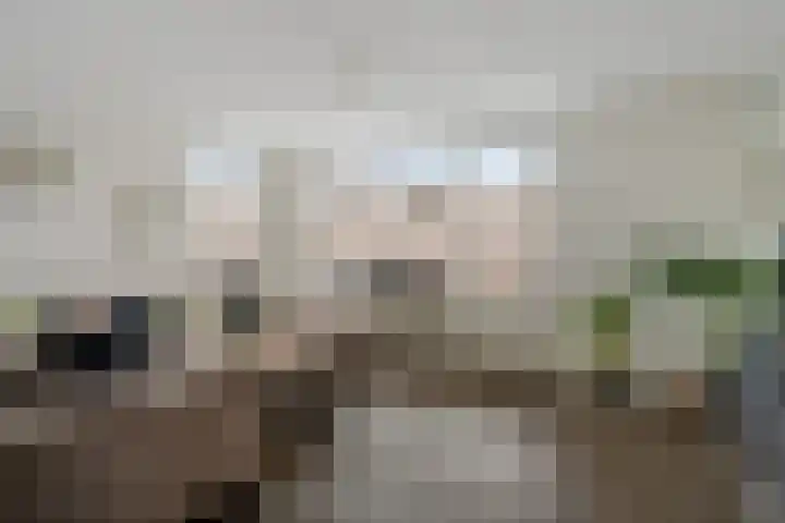 Andrieserf 16 Schoonebeek thumbnail 18