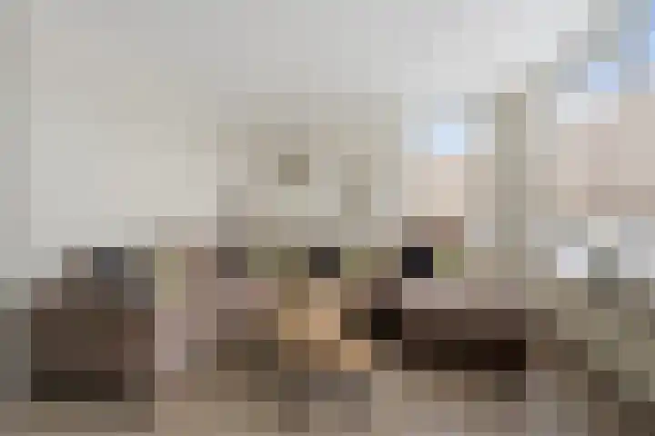 Andrieserf 16 Schoonebeek thumbnail 19