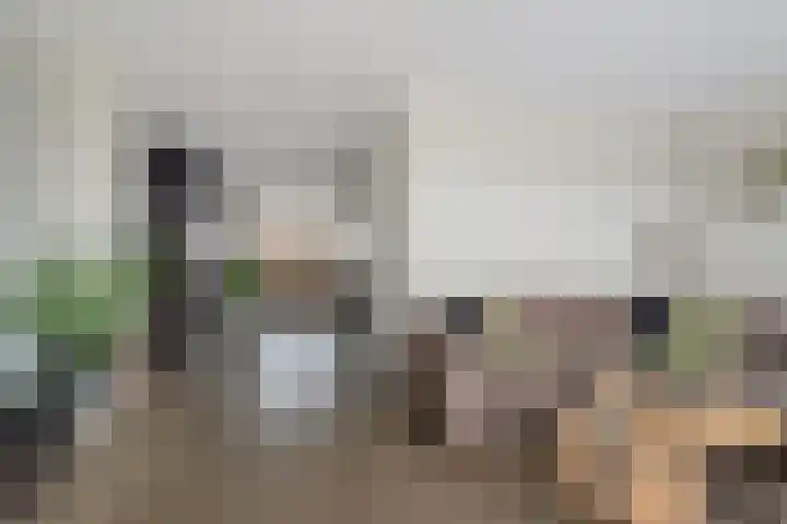 Andrieserf 16 Schoonebeek thumbnail 21