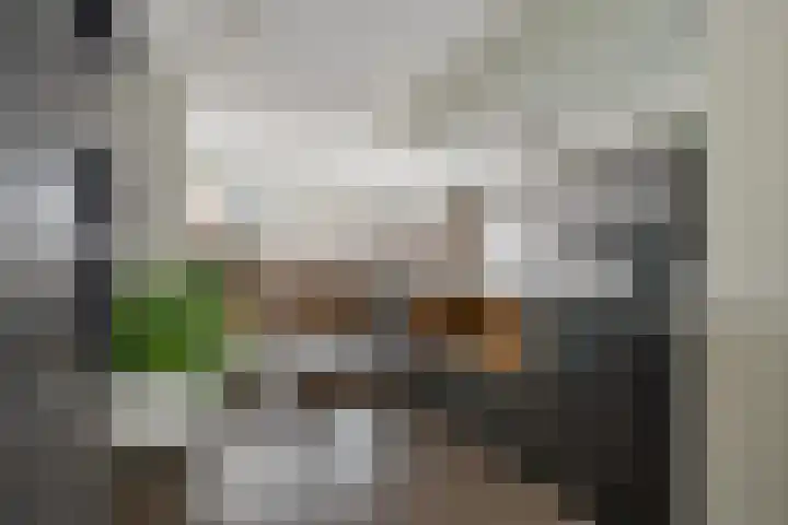 Andrieserf 16 Schoonebeek thumbnail 22