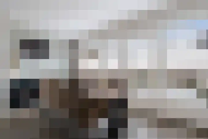 Andrieserf 16 Schoonebeek thumbnail 25