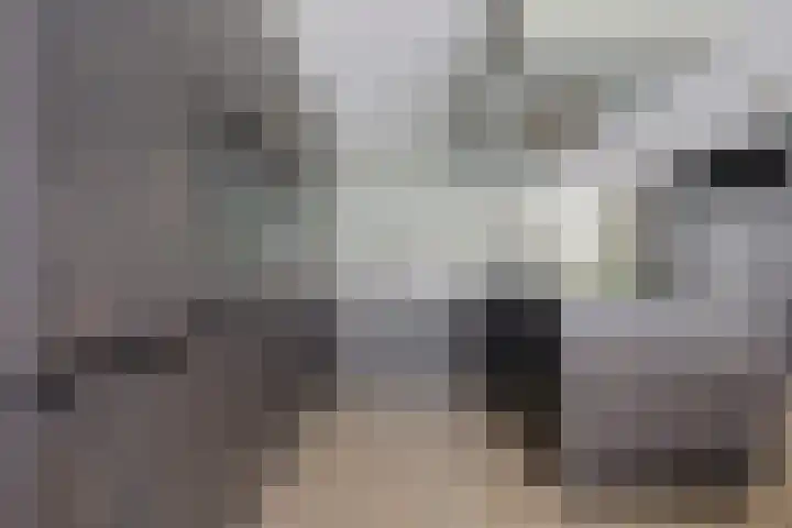 Andrieserf 16 Schoonebeek thumbnail 27