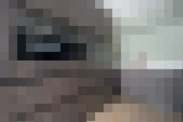 Andrieserf 16 Schoonebeek thumbnail 28
