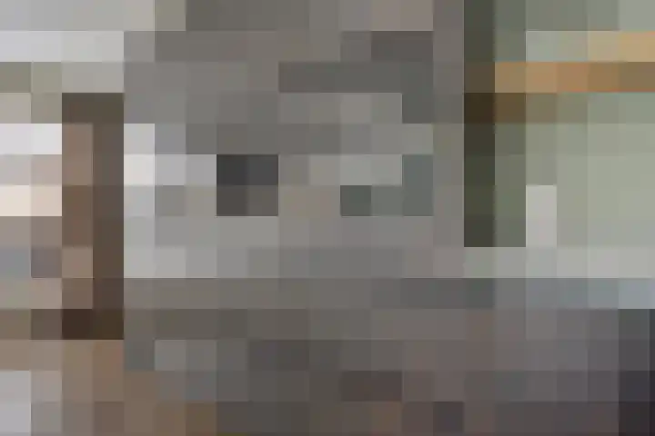Andrieserf 16 Schoonebeek thumbnail 29