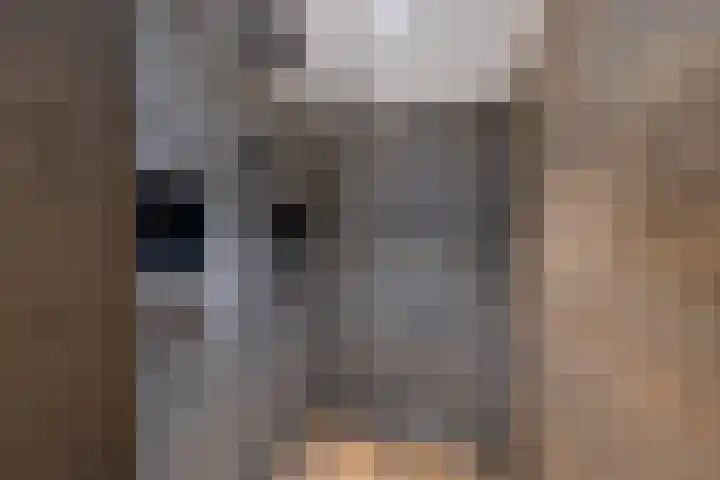 Andrieserf 16 Schoonebeek thumbnail 34