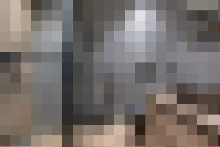 Andrieserf 16 Schoonebeek thumbnail 39